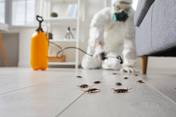Commercial Kitchen Cockroach Control in La Plata